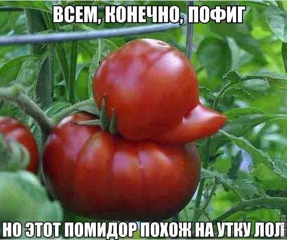    :-) - 8  2015  01:05