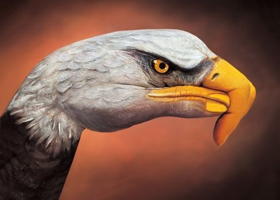 Рукозвери Гвидо Даниэле.Итальянский художник Гвидо Даниэле (Guido Daniele) — мастер ...