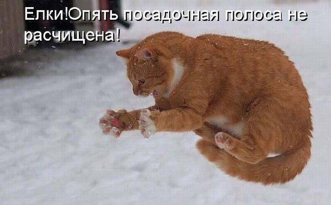   ,  : <a href=