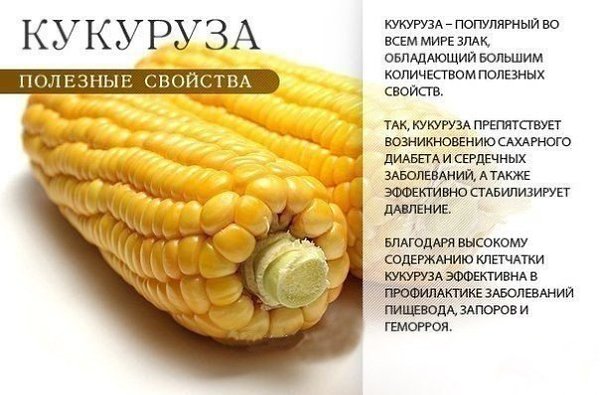   .   vk.com/ranks - 4