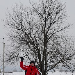 ������, ��������, 45 ���