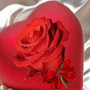 ���� ������, ������ - ��������� 15 ����� 2015 � ������ ������ ��������