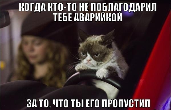   - 2  2015  20:01