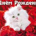 ���� Alex, �����������, 70 ��� - ��������� 21 ����� 2015 � ������ ���� ����������