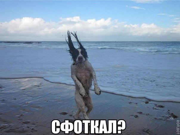   ,  : <a href=