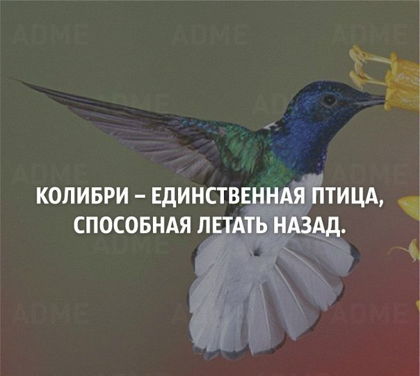 Подборка нескольких фактов, которые могут изменить представление об этом мире. - 2