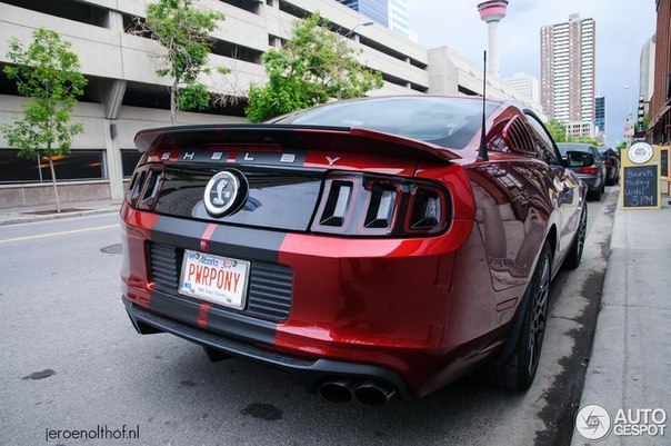 Ford Mustang Shelby GT500 - 7