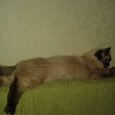  N..., , 47  -  14  2014       )))