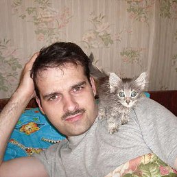 ����������, �������, 51 ���