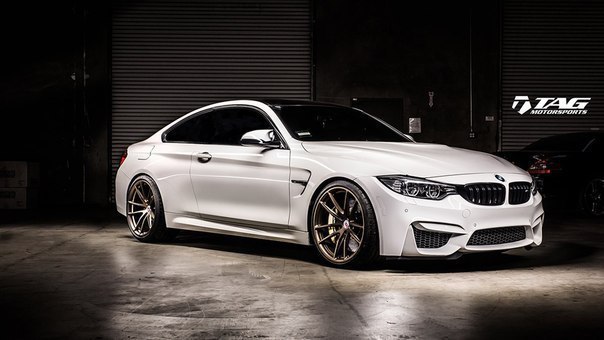 BMW M4 Coupe   TAG Motorsports.       TAG Motorsports ...