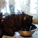 ��� ��� ����? �� ������� �RoadKing�