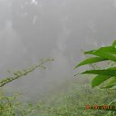 ���� Aru, �������� - ��������� 11 ������ 2015 � ������ �Ooty, Tamilnadu, India�