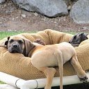 ���� ���������, ����, 48 ��� - ��������� 18 ������ 2015 � ������ ������ ��������