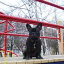 ���� ��������, ������� - ��������� 26 ����� 2015 � ������ ���� ��������