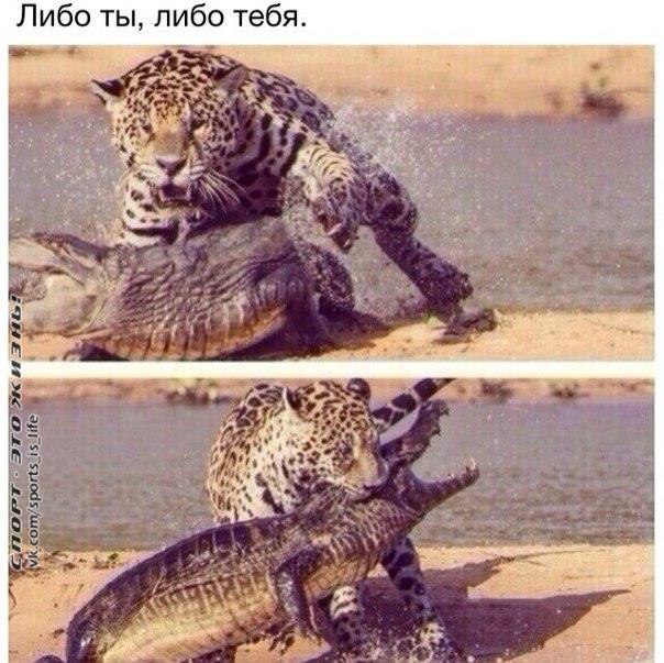  -   - 10  2015  17:44