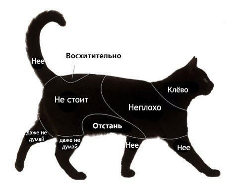      - 2