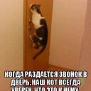 ���� ���������, �������, 54 ���� - ��������� 17 ������ 2015 � ������ ���� ���� ��������ӻ
