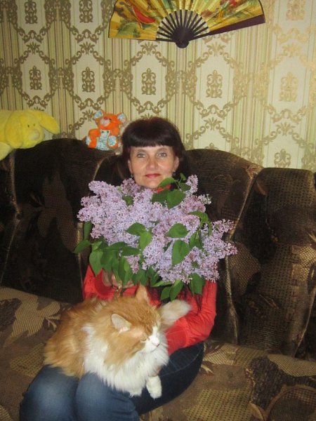 : ., 64 ,     