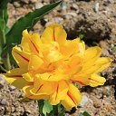  , , 60  -  13  2015      11.04.15.