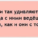 ���� ������, ��������� - ��������� 8 ����� 2015 � ������ ������ ��������