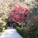 ���� �������, ������ - ��������� 15 ������� 2014 � ������ ���� ����������