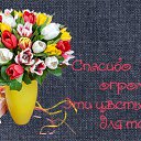 ���� ������, ��������, 68 ��� - ��������� 28 ������� 2015 � ������ �������� ��������