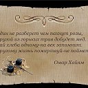   ,   -  8  2015    