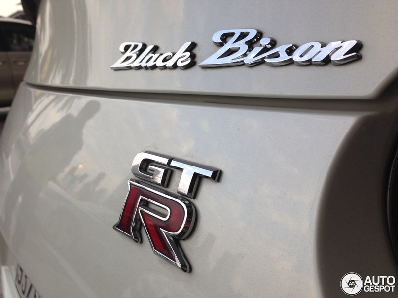 Nissan WALD GT-R Black Bison Edition - 5