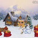 ���� �����������., ������ - ��������� 27 ������� 2015 � ������ �Tropikania�