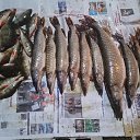 ))))) �� ������� �2094�