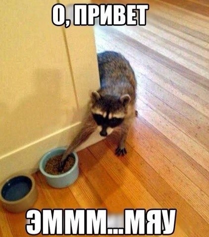 -   ...