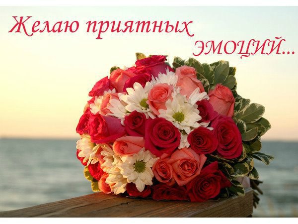    - !!!,.   !!   https://fotostrana.ru/away?to=/sl/KE2
