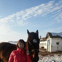 2014 �� ������� ���� ����������