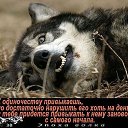 ���� Rok76i, �����-���������, 49 ��� - ��������� 24 ������� 2014 � ������ ������ ��������