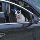 ���� �����, ���� - ��������� 31 ������ 2015