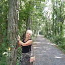 ���� ������, �����, 74 ���� - ��������� 1 ������ 2015 � ������ ���� ����������