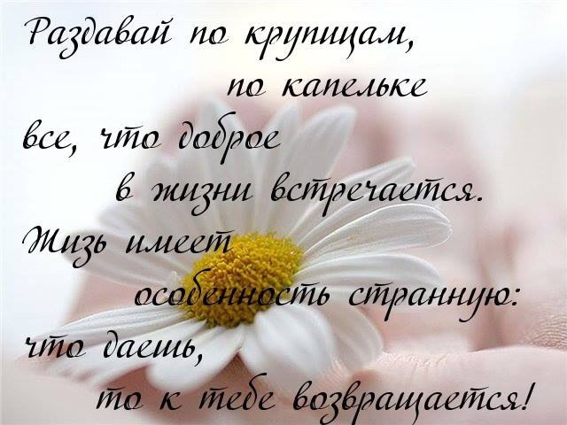  - 17  2015  11:18