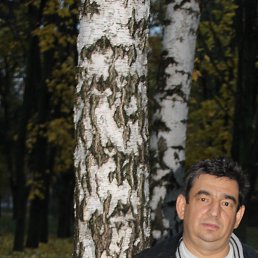 , , 53 
