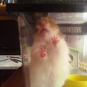 ���� �������, ����-���, 44 ���� - ��������� 24 ����� 2015 � ������ ���� ����������