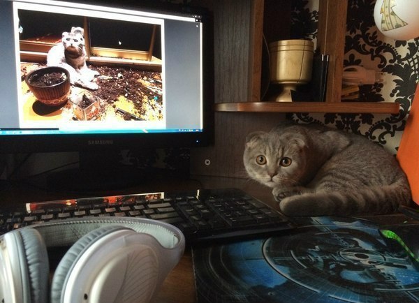     !!!! )))))))))))))))