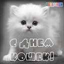 ���� ����, ���������, 60 ��� - ��������� 18 ����� 2015 � ������ ������ ��������