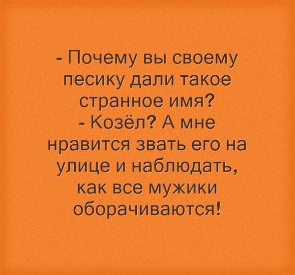   |  |  - 5  2015  14:40
