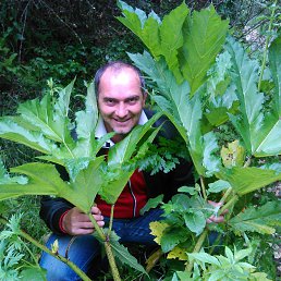 Rustam, 46 , 