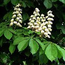 ���� Irina, ����������� - ��������� 22 ����� 2015 � ������ ���������