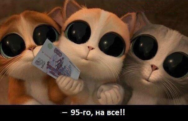    - 2  2015  19:29