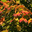 ���� ����������, ������� ��������, 63 ���� - ��������� 22 ������� 2014 � ������ �������