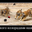���� Tatyana, ������ - ��������� 21 ����� 2015 � ������ ������ ��������