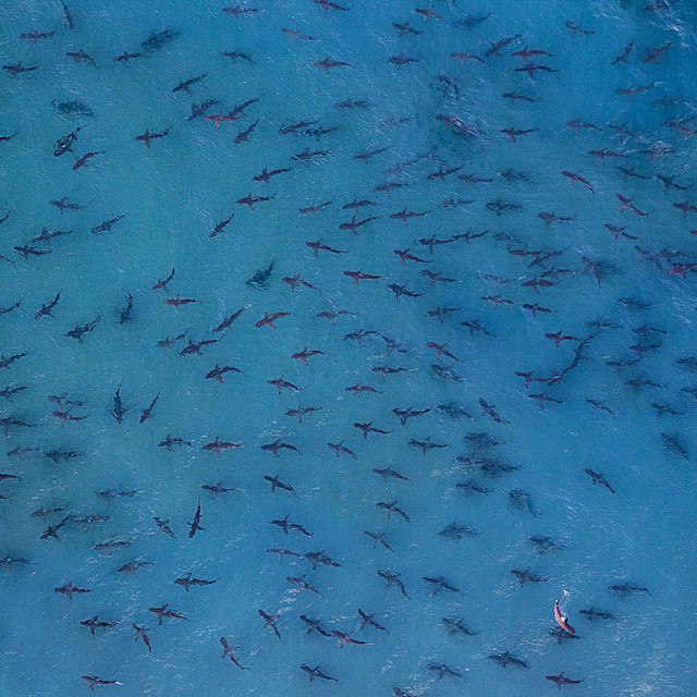   National Geographic - 25