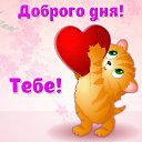 ���� �������, ��������, 53 ���� - ��������� 11 ������ 2015 � ������ �������� ��������