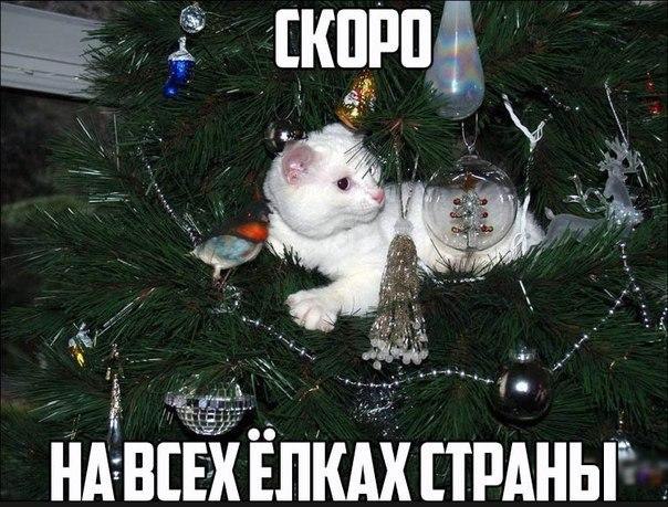    - 25  2014  11:41